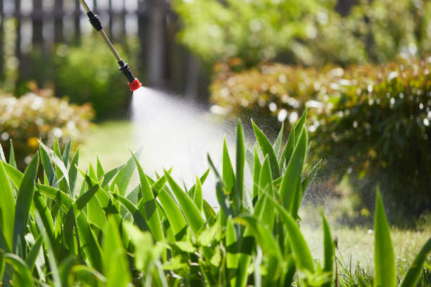24/7 Emergency Wasp Removal experts in Sycamore, IL