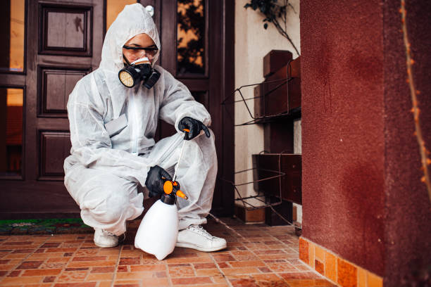 Reliable Wasp Removal contractor in Sycamore, IL by Show Me Pest Control